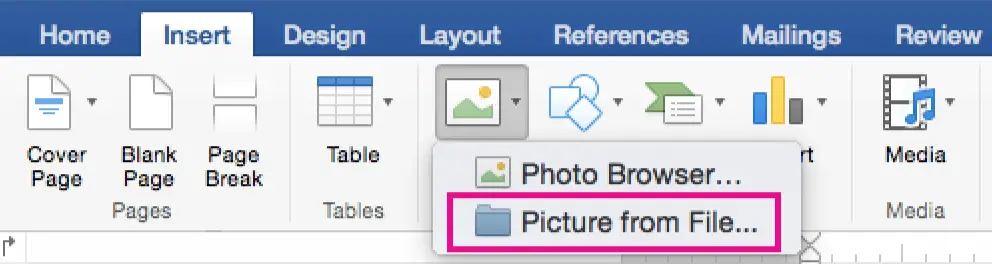 This image shows how to use the Insert tab to select your signature. You click on Pictures and then choose Picture from File option.